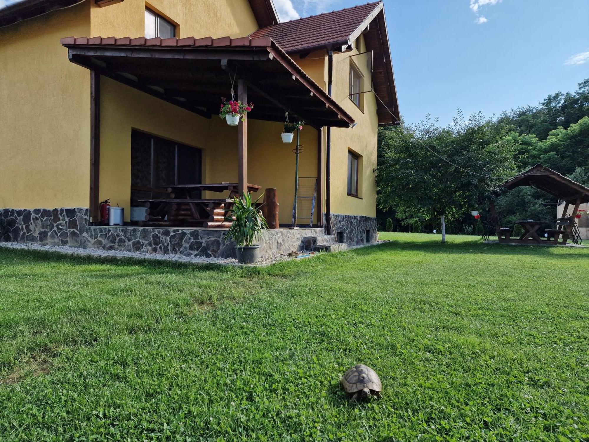 Casa Maya Holiday home Sasciori
